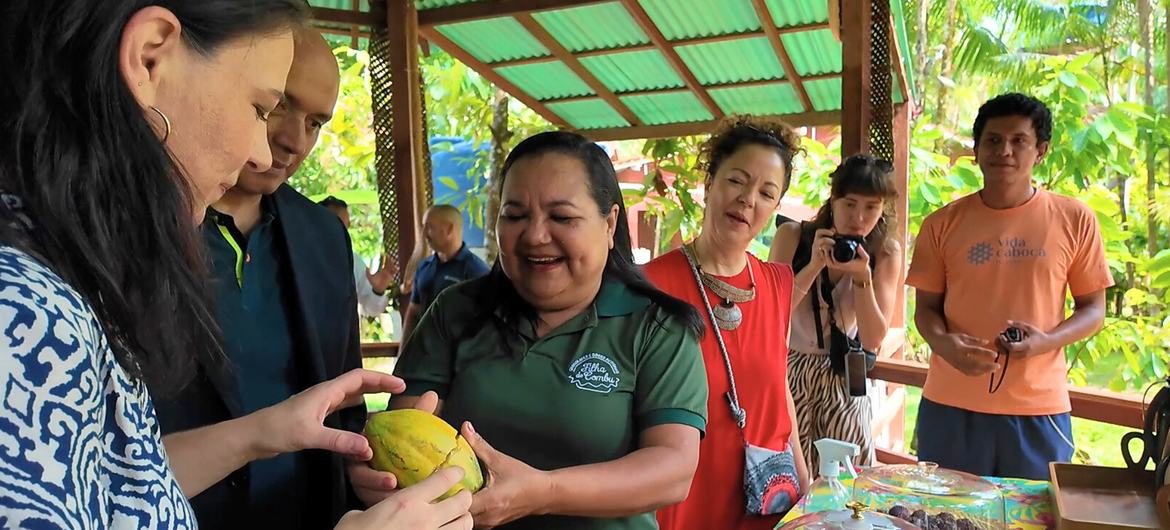 President of the 80th session of the General Assembly, Annalena Baerbock (foreground), tasting cocoa from Combu Island, near Belém, Brazil. President of the 80th session of the General Assembly, Annalena Baerbock (foreground), tasting cocoa from Combu Island, near Belém, Brazil.