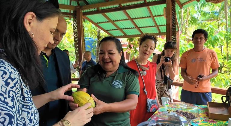 رئيسة الجمعية العامة، أنالينا بيربوك، تتذوق الكاكاو من جزيرة كومبو، بالقرب من بيليم