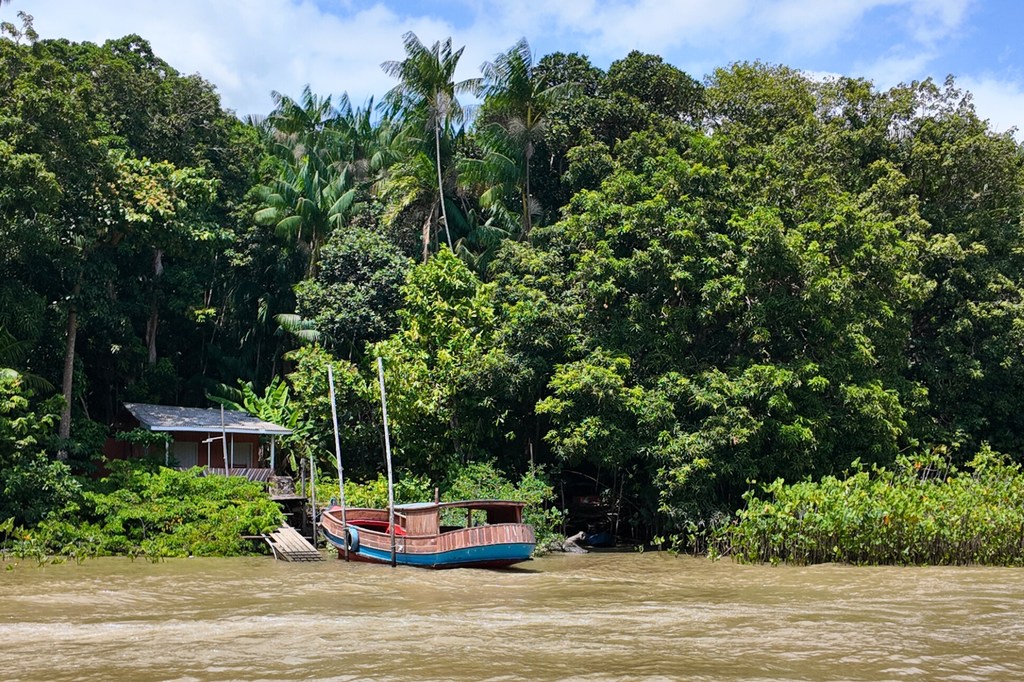 Ilha do Combu, one of the 42 islands in Guamá River the surrounding Belém, Brazil.