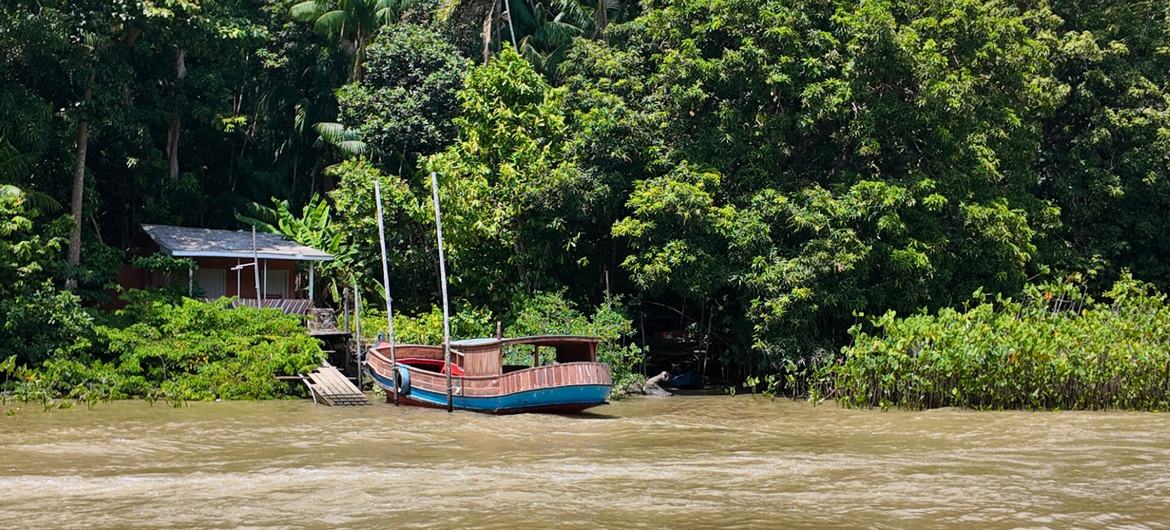 Paisagem na ilha do Combu, Belém, Brazil