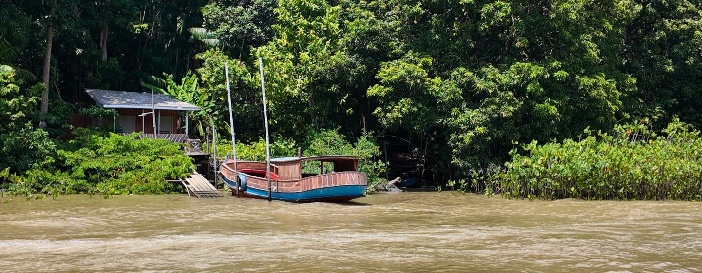 Ilha do Combu, one of the 42 islands in Guamá River the surrounding Belém, Brazil.