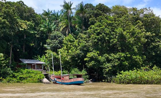 On Brazil’s Combu Island, chocolate makers hold clues to climate action thumbnail