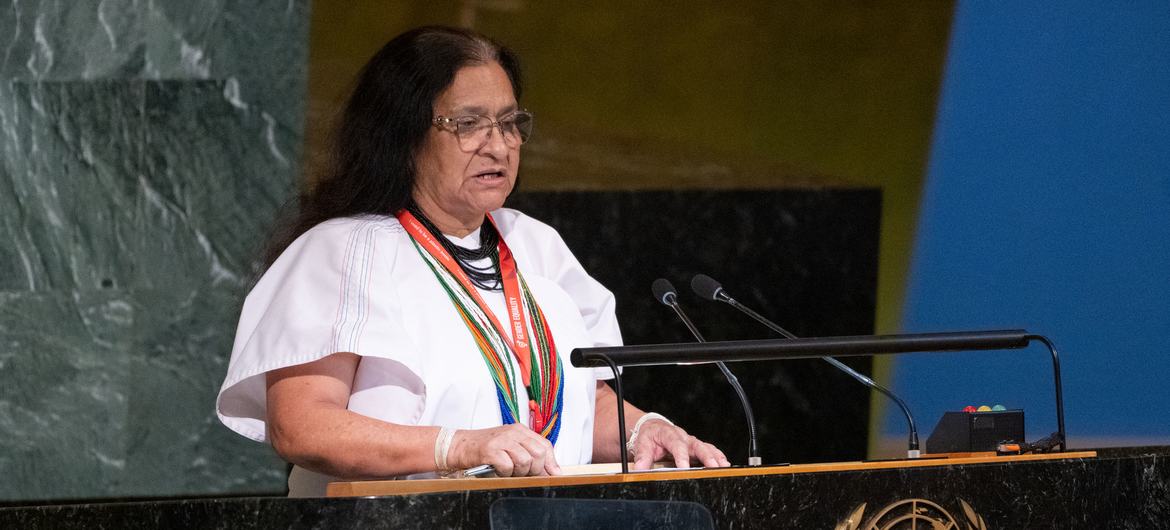 Ambassador Leonor Zalabata Torres of Colombia addresses members of the United Nations General Assembly at the launch of the International Decade of Indigenous Languages.