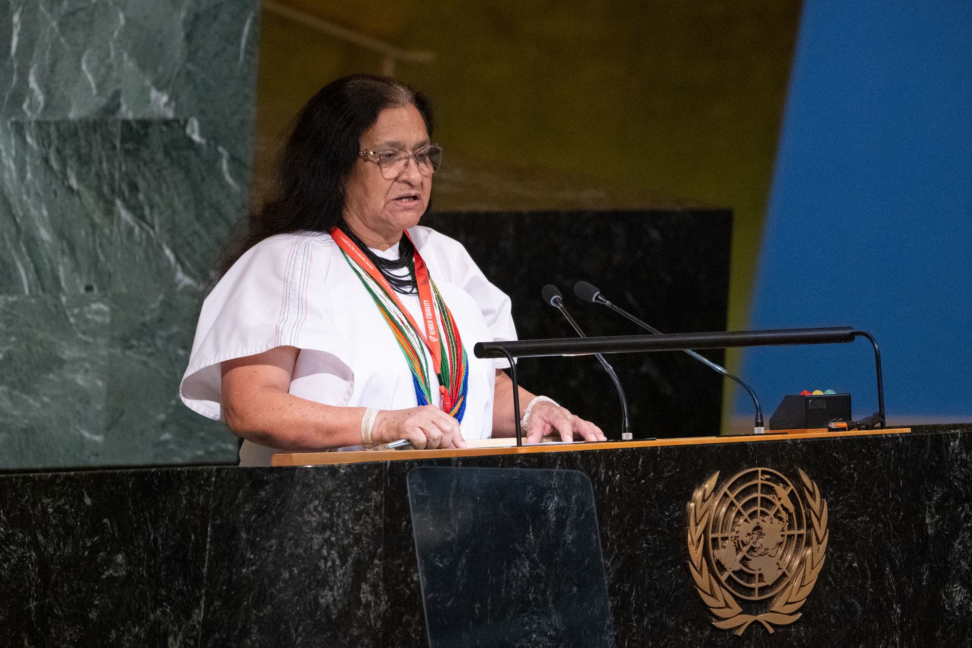 哥伦比亚常驻联合国代表萨拉巴塔•托雷斯在联合国大会国际土著语言十年启动仪式上发表讲话。 