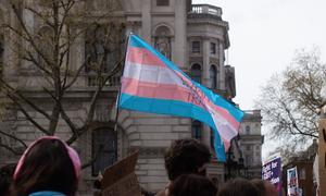 Trans people and their allies protest in the UK.