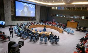 Stephanie Koury (on screen), Deputy Special Representative for Political Affairs for Libya addresses the Security Council.