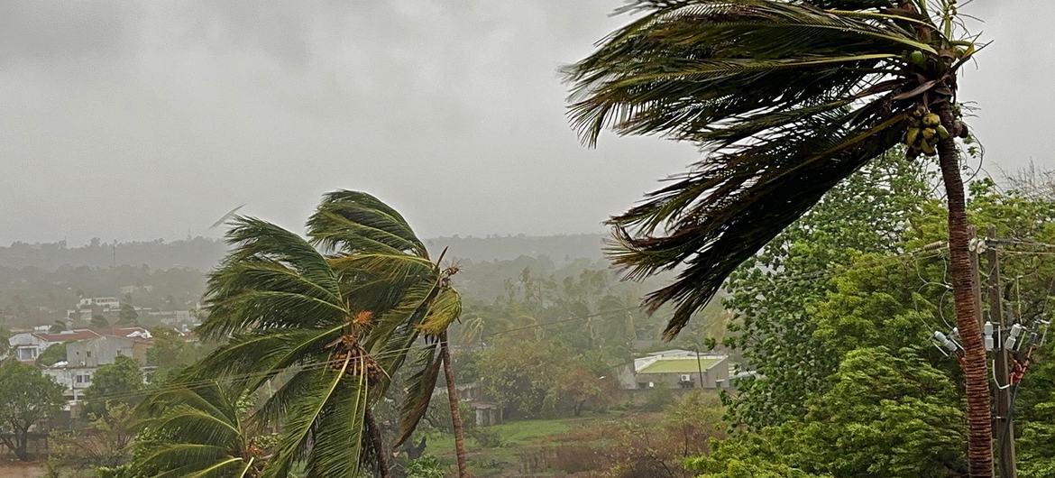 O ciclone Chido atinge a costa perto de Pemba, no norte de Moçambique