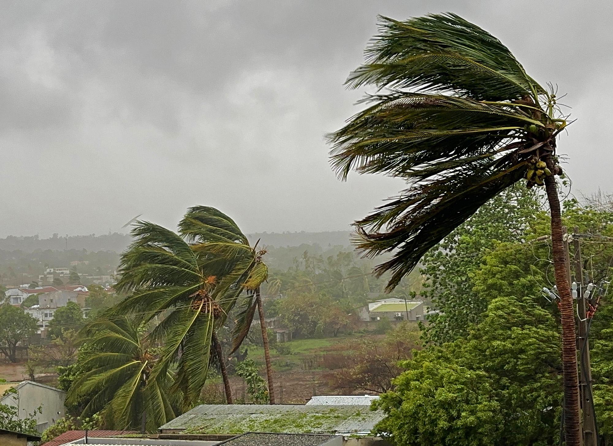 🎙️Ouragan Melissa en Haïti : l’action anticipatoire aurait permis de mitiger les dégâts