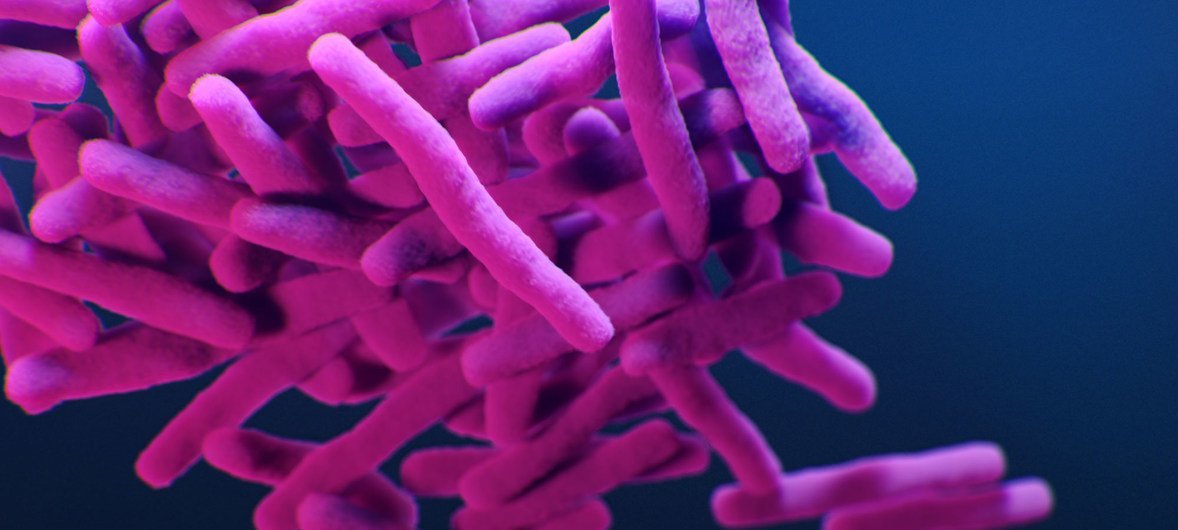 A medical illustration depicts the drug-resistant, Mycobacterium tuberculosis bacteria.