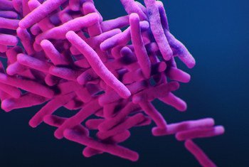 Ilustração médica mostra a bactéria Mycobacterium tuberculosis resistente a medicamentos