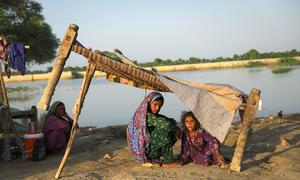 A family takes refuge on a roadside in Sindh province in Pakistan, after fleeing their flood-hit home. (file)