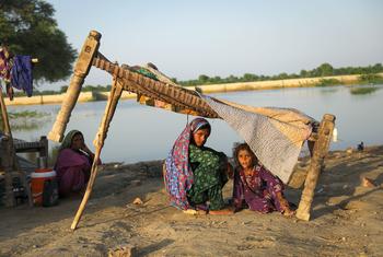 पाकिस्तान के सिन्ध प्रान्त में बाढ़ से प्रभावित एक परिवार ने अस्थाई रूप से सड़क किनारे शरण ली हुई है.