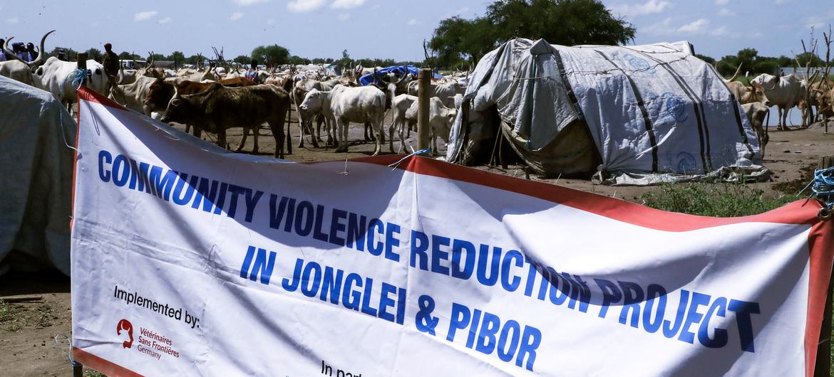 The UN is supporting community peacebuilding efforts in South Sudanese communities.