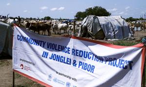 The UN is supporting community peacebuilding efforts in South Sudanese communities.