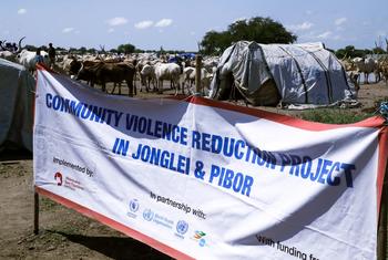 The UN is supporting community peacebuilding efforts in South Sudanese communities.