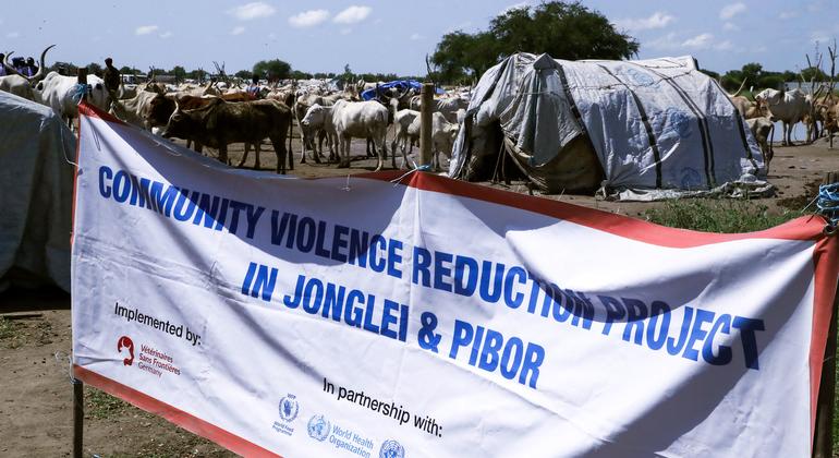 Rights specialists say peaceable transition in South Sudan essential, amid ‘immense struggling’
