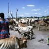 Wanawake wawili wamesimama kati ya kundi la ng'ombe katika mto mkavu huko Bor, Sudan Kusini.