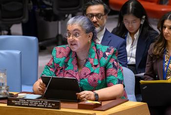 秘书长利比亚问题特别代表兼联合国利比亚支助团团长向安理会会议通报利比亚局势。