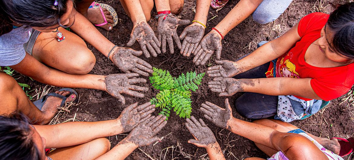 Необходимы меры по борьбе с загрязнением окружающей среды и замедлению процесса утраты биоразнообразия.