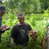 Mwanamume akiwaonyesha kikundi cha wafanyakazi wa kilimo viazi vilivyovunwa shambani nchini Rwanda, huku mwakilishi wa FAO akiandika maelezo.