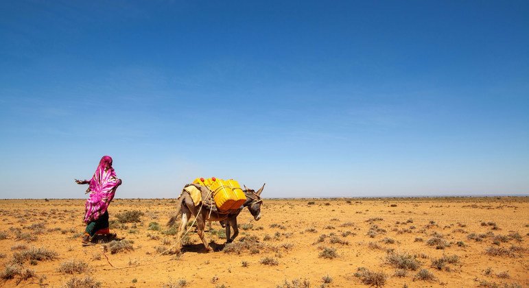 عانى شمال غرب الصومال من موجات الجفاف المتكررة على مدى عقود.