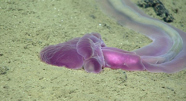 media:entermedia_image:6d237830-27ed-45fb-90a6-7715870e53e4