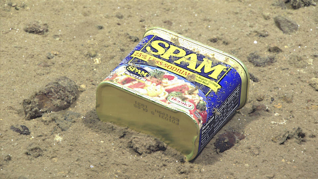 Une boîte de conserve à 4.947 m de profondeur, sur les pentes d'un canyon sous-marin, près des îles Mariannes du Nord dans l'océan Pacifique.