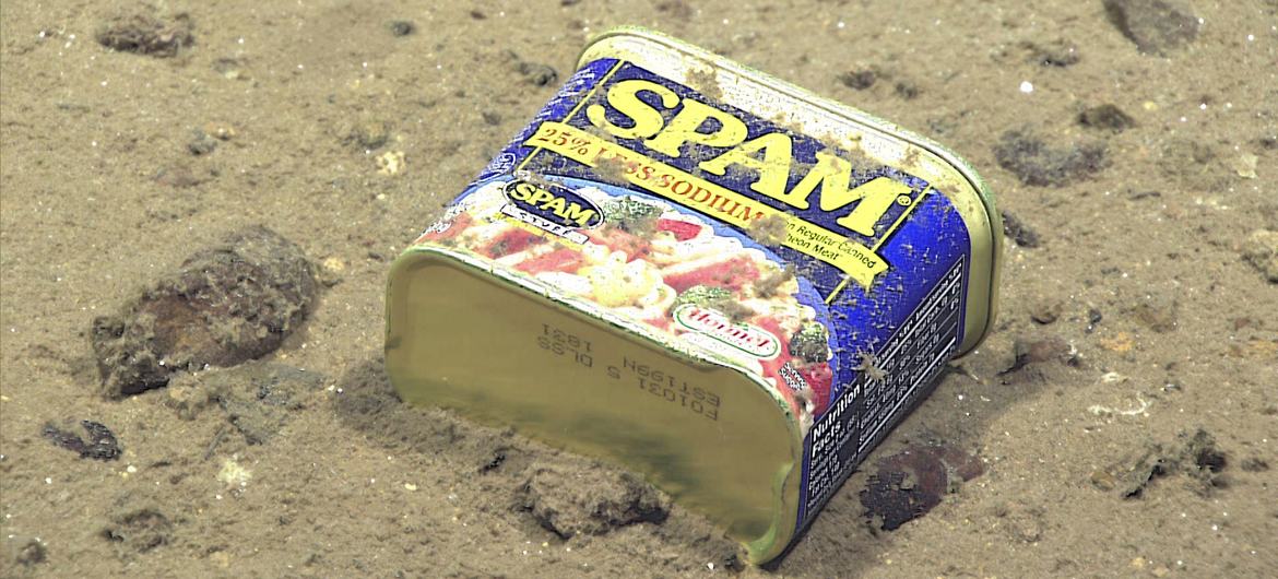 A food container seen resting at 4,947m on the slopes of an underwater canyon near the North Marianas Islands in the Pacific Ocean. A food container seen resting at 4,947m on the slopes of an underwater canyon near the North Marianas Islands in the Pacific Ocean.
