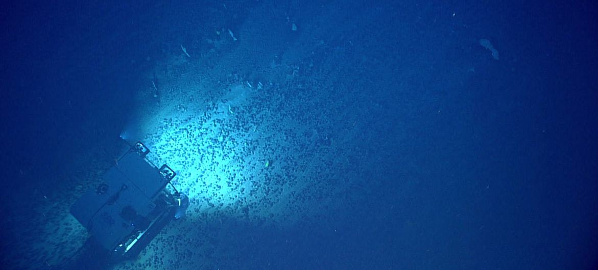 В условиях растущего спроса на технологии возобновляемой энергетики и мобильные устройства страны ищут новые источники редкоземельных минералов – и глубоководное дно предлагает немало возможностей.