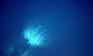 A remotely operated vehicle traverses over an extensive field of ferromanganese nodules that formed the bulk of the hard seafloor substrate in the North Atlantic in 2021.