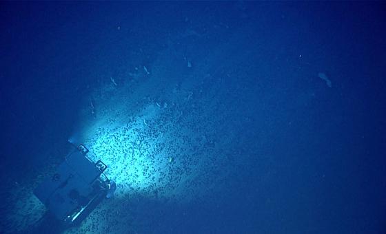 Deep dive into the International Seabed Authority: Why it matters now thumbnail