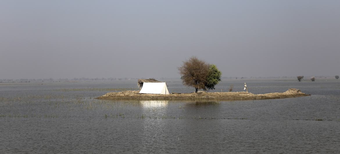 In October 2022, a tent surrounded by flood water in Pakistan's Sindh province. More than 30 million people across the country were affected by the unprecedented floods triggered by intense monsoon rains.