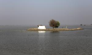 In October 2022, a tent surrounded by flood water in Pakistan's Sindh province. More than 30 million people across the country were affected by the unprecedented floods triggered by intense monsoon rains.