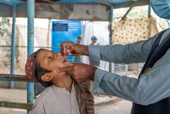 अफ़ग़ानिस्तान में तोर्खम बॉर्डर पर एक बालक को यूनीसेफ़ समर्थित स्वास्थ्यकर्मी द्वारा पोलियो की बूंदें दी जा रही हैं.