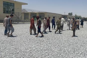 अफ़ग़ानिस्तान की राजधानी काबुल में तालेबान द्वारा संचालित अगूश दवा उपचार केंद्र.
