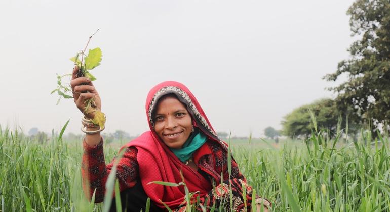 यूएनडीपी की पहल, किसानों के लिए जलवायु सहनसक्षमता बढ़ाने हेतु उत्कृष्ट पहलों को प्रोत्साहित करने में बहुत अहम भूमिका निभा रही है.