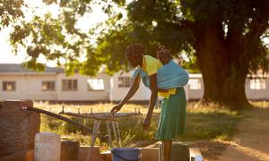 Half of Zimbabweans fell into extreme poverty during the COVID-19 pandemic.