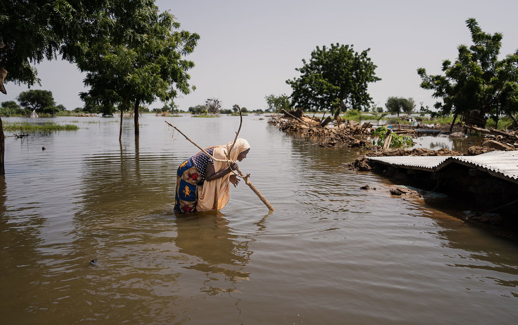 امرأة تقف في مياه الفيضانات في جاكوسكو بولاية يوبي بنيجيريا.