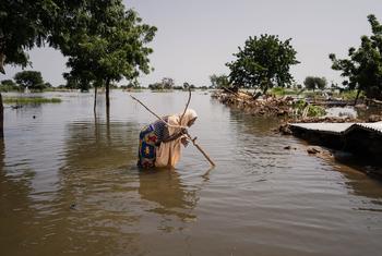 尼日利亚约贝州雅库斯科的一名妇女在洪水中艰难前行。