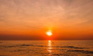 Temperatures have hit record highs across the world in 2023.