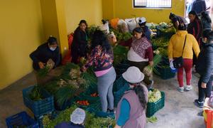 Distributing food received from the Food Bank at the various soup kitchens  in Chorrillos township, Lima, Peru.