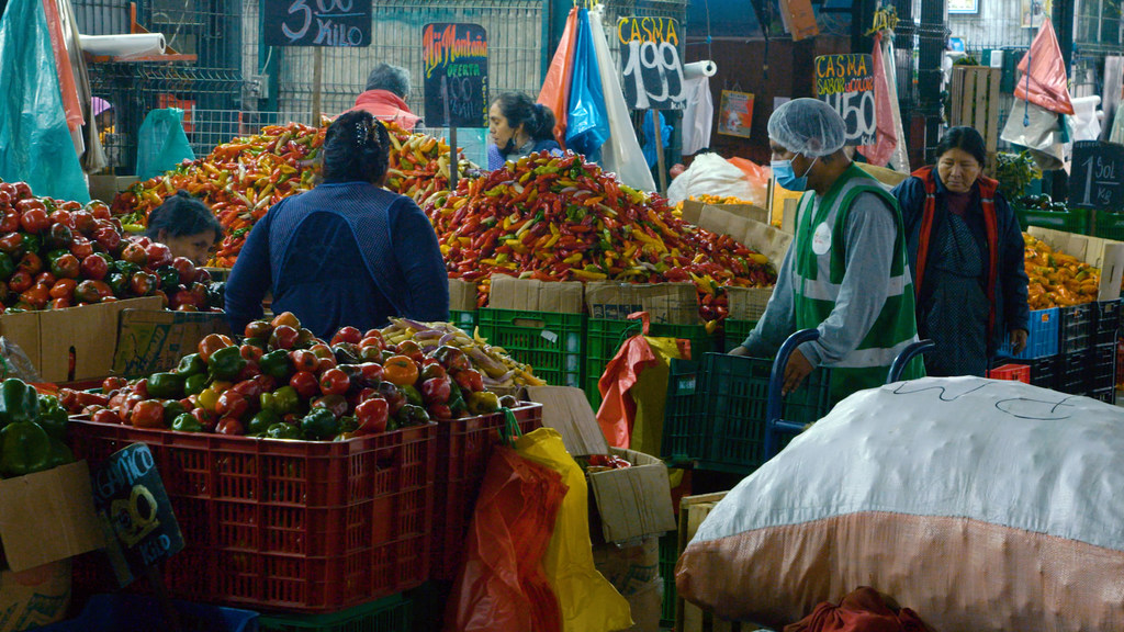 在秘鲁利马，一名食品银行工作人员在批发市场收集食物。