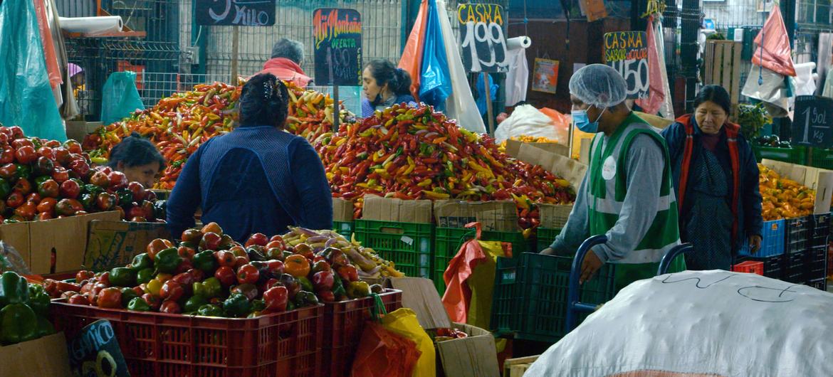 खाद्य बैंक का एक एजेंट, पेरू में लीमा के एक थोक बाज़ार में भोजन इकट्ठा कर रहा है.