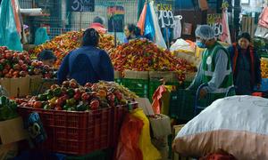 A Food Bank agent collects food at a wholesale market in Lima (mercado de mayoristas), Peru.