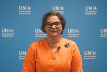 Jyoti Mathur-Filipp, Executive Secretary of the International Negotiating Committee Secretariat.