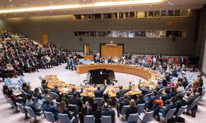 Una amplia visión de la reunión del Consejo de Seguridad de la ONU sobre una resolución que autoriza la creación de una Junta de Paz y una Fuerza Internacional de Estabilización en Gaza.