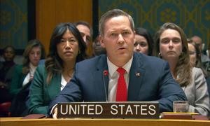 US Ambassador Mike Waltz addresses the UN Security Council meeting on a resolution welcoming the US-established Board of Peace and an International Stabilization Force in Gaza.