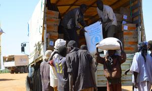 Food aid is delivered to displaced people in Zamzam camp in North Darfur, in November 2024.