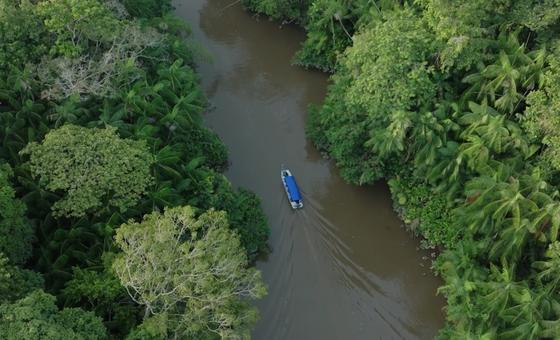 Vista aérea de um barco em um rio que flui pela floresta amazônica.