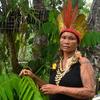 لوٹانا ربیرو برازیل کے امیزون ریجن میں آباد قبائل کی واحد خاتون سربراہ ہیں۔